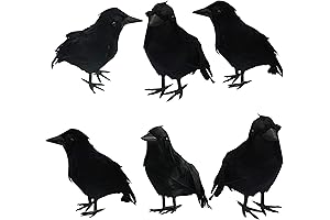 Dazzle Bright 6-Pack Halloween Black Feathered Crow Decorations