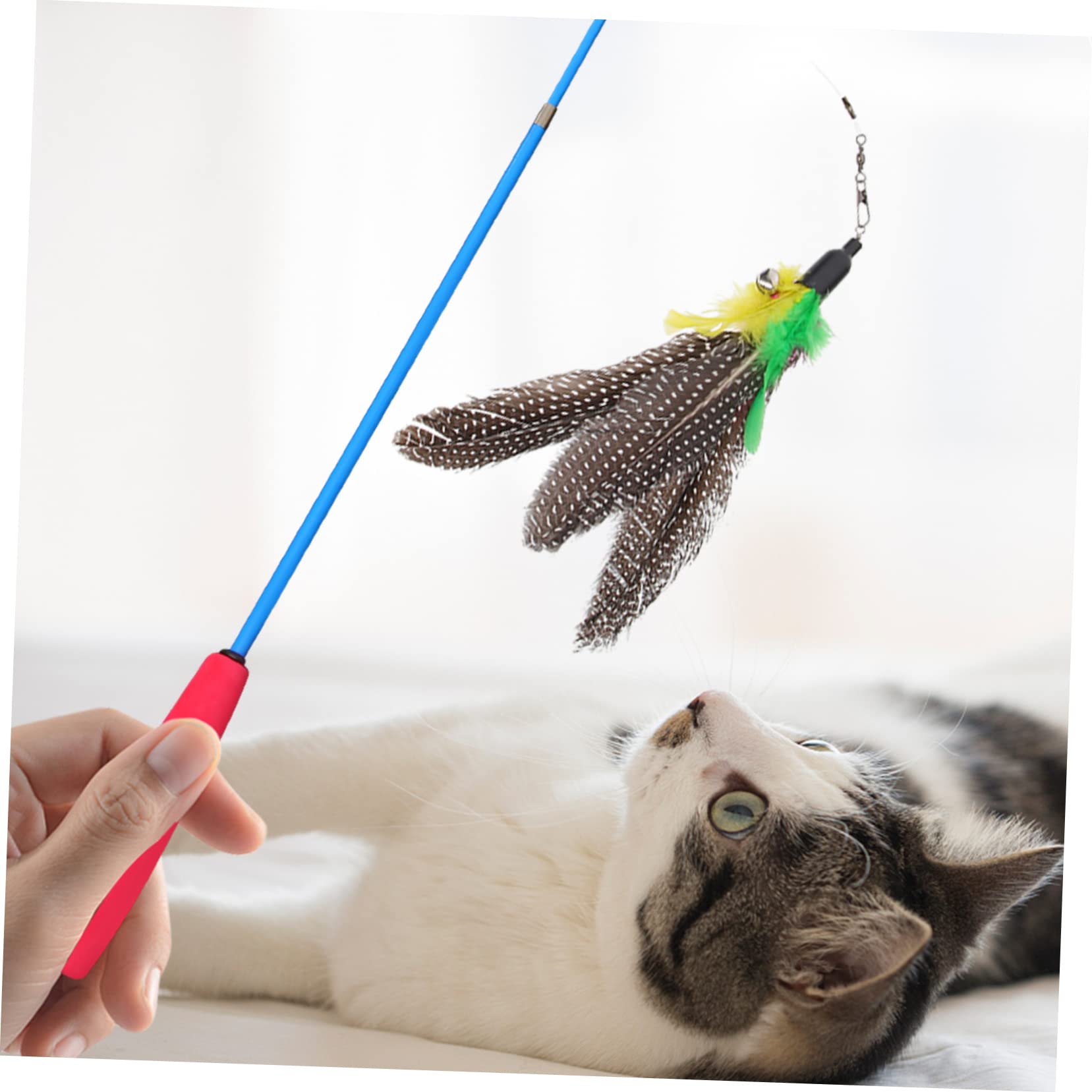 Mipcase 5sätze Katzenspielzeug Mit Telescopic Teaser- Für Interaktives Für Kätzchen Und Katzen Fördert Und Stärkt Die Bindung