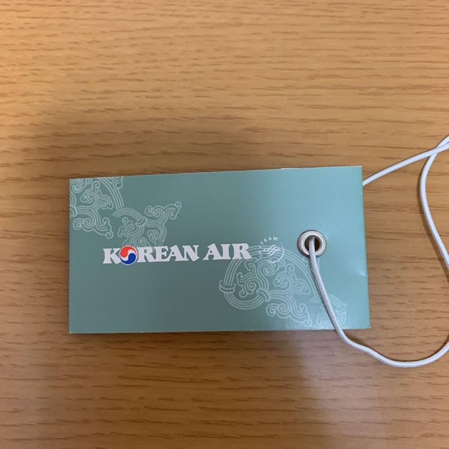 KOREAN AIR 大韓航空 新ロゴ トラベルタグ ネームキーホルダー リング 非売品】KOREAN AIR 大韓航空 キーリング チャーム 新ロゴ 公式