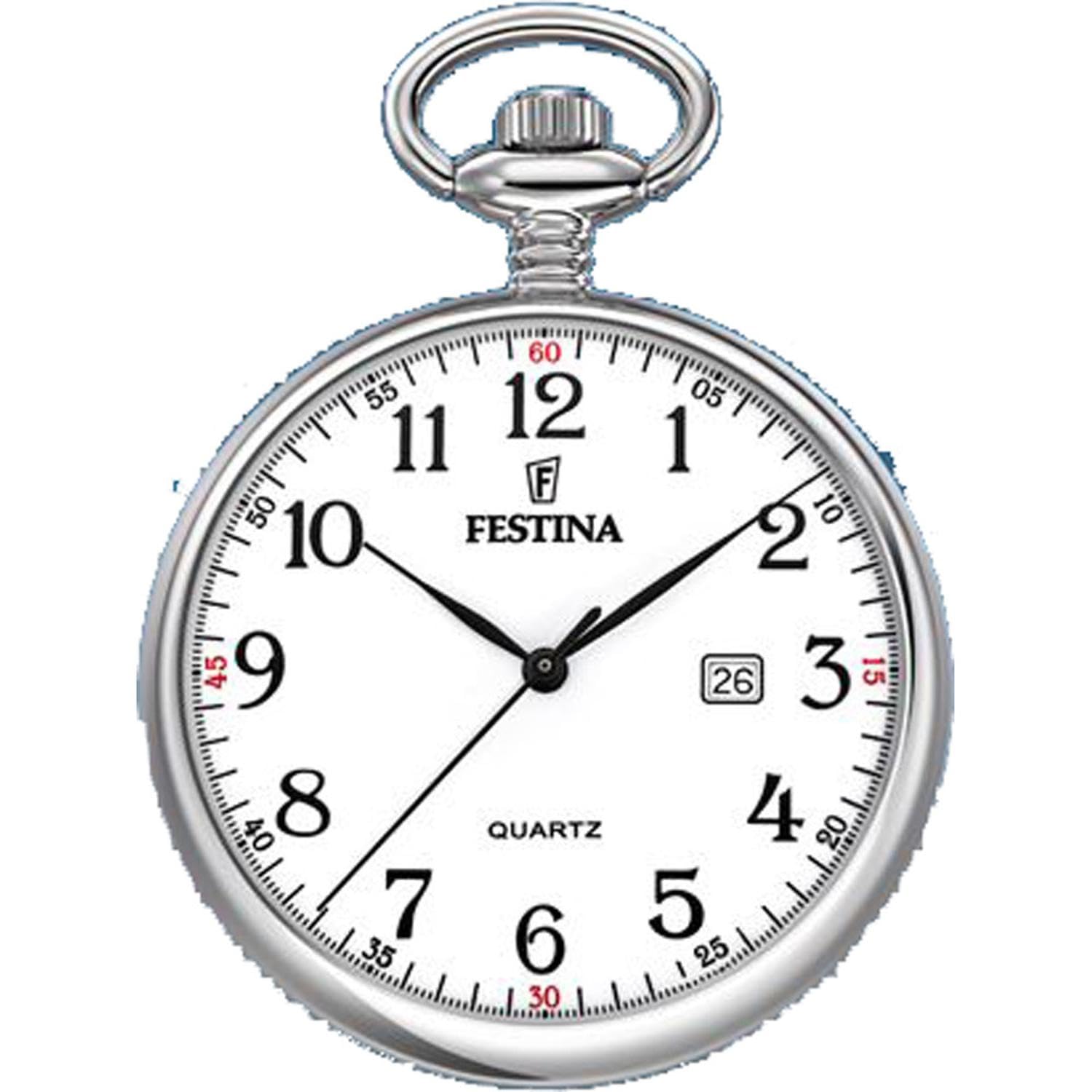 Montre FESTINA pour Homme F2019/1 Bolsillo Boîtier en Acier Inoxydable Gris