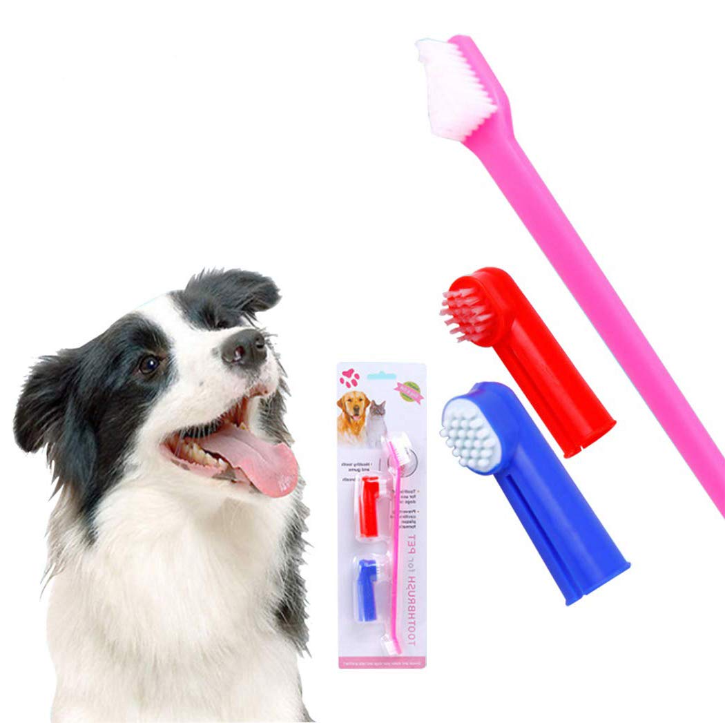 Western Era Pets Cleaning Dental Toothbrush Set of 3 with 1 Double Headed Toothbrush, 2 Finger Toothbrush All Breed Cats, Dogs and Puppies (Color May Vary) (B08934MXYS) Amazon Price History, Amazon Price Tracker