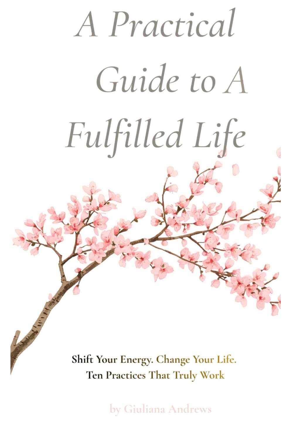 A Practical Guide to A Fulfilled Life