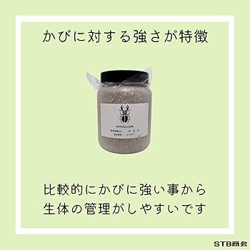 Amazon | 菌糸ビン800cc ヒラタケ 一次発菌 乳白色ボトル