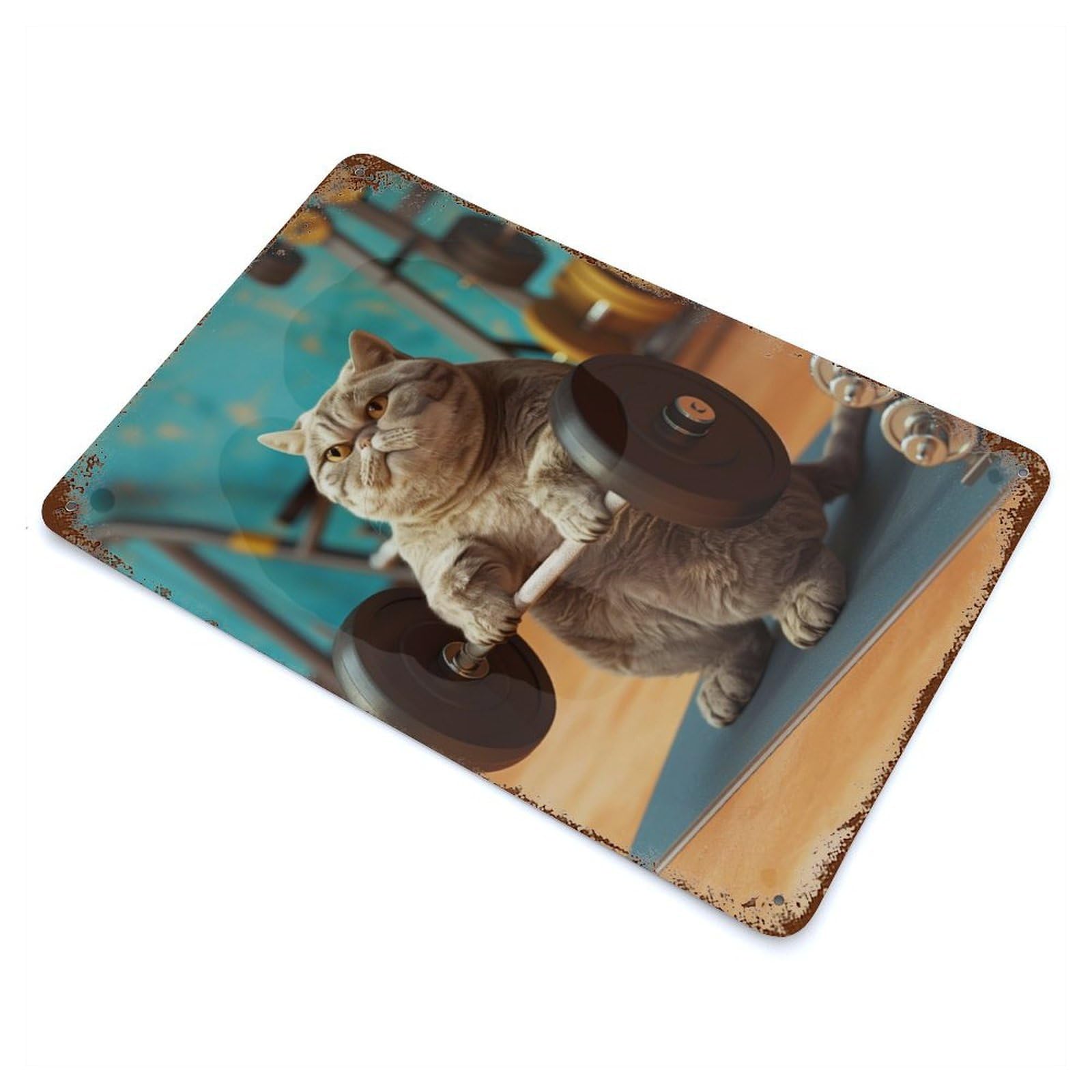 Aged Metal Wall Plaque with Fat British Shorthair Cat Design 11.8"x7.9", for Basement, Hobby Room And Garage Decor, Farmhouse Wall Decor