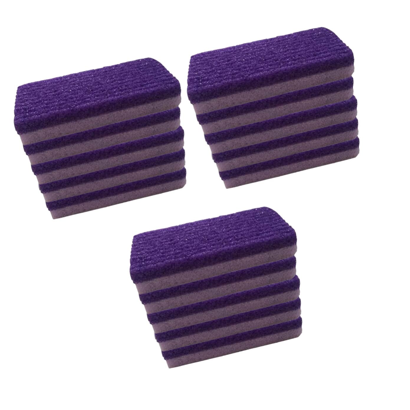 15pezzi Pedicure Foot File Per Rimozione Della Morta Scrubber Esfoliazione Casa e