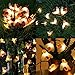 Solar Bee String Lights 2 Pack Each 17Ft Total 60 LED Solar Bee Fairy Lights 8 Modes Copper Wire Lights Waterproof Outdoor String Lights for Garden Patio Gate Yard Party Wedding Indoor Bedroom