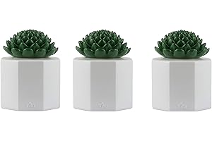 TIKI Brand 3-Pack Table Torch Glass Succulent White - Outdoor Table Top...