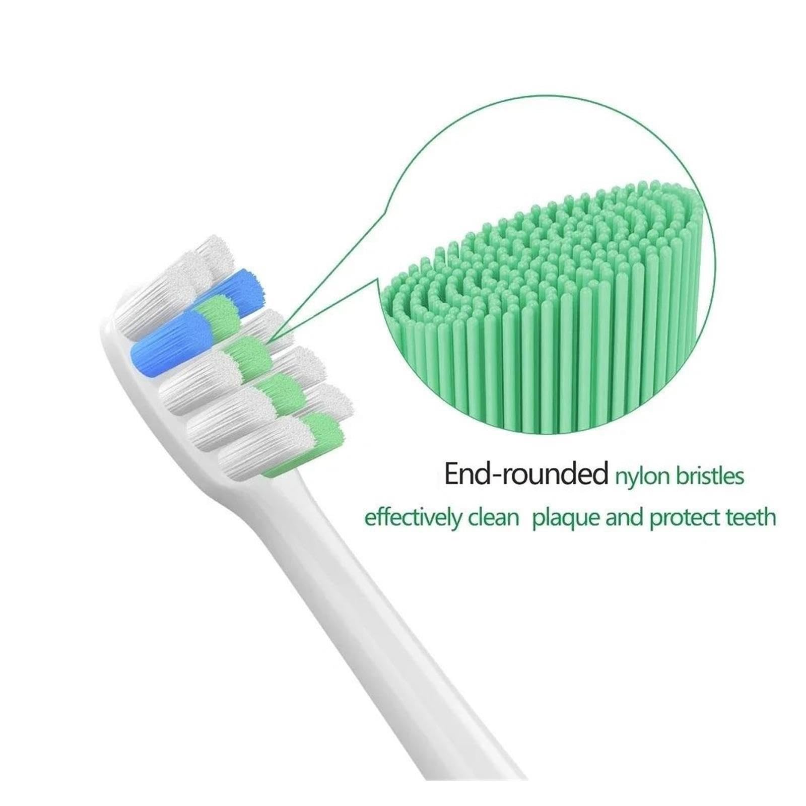 Têtes De Brosse À Dents, Compatibles Avec MONTERI WellShine, W32 B32