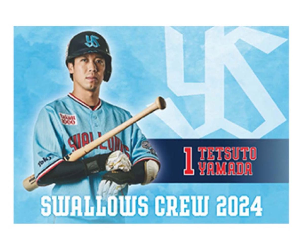 ヤクルトスワローズ山田哲人本人使用品トレーニングウェアセット Amazon.co.jp: 東京ヤクルトスワローズ 山田哲人 レジャーシート