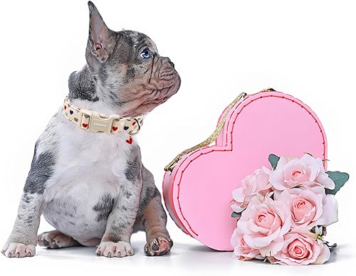 Miniatura 5 de DOGWONG Collar de perro de San Valentín, collar de perro con estampado de corazones para perros grandes, lindos collares de primavera, hembra,