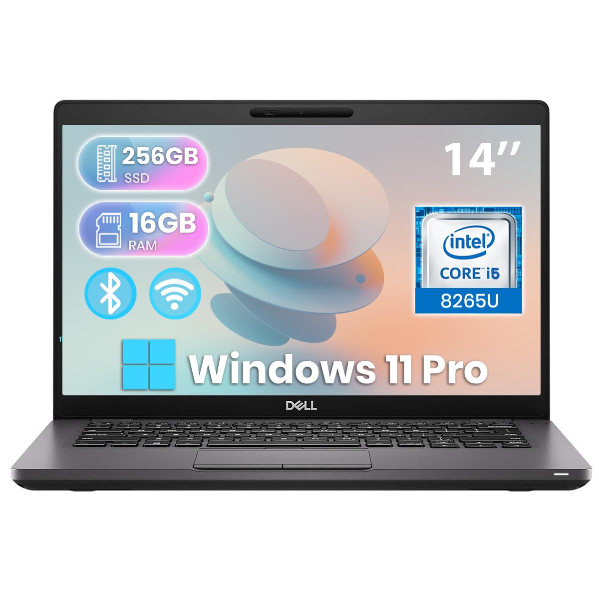 Amazon.com: Dell Latitude 5400 Laptop, 14-inch HD Business