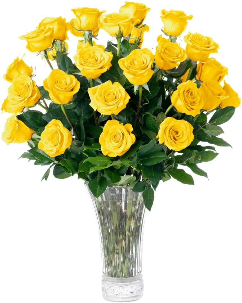 Flowers for Delivery, Fresh Flowers Bouquet, Handpicked from the Farm, Gift for Birthday, Anniversary, or Just Because – 24 Fresh Roses