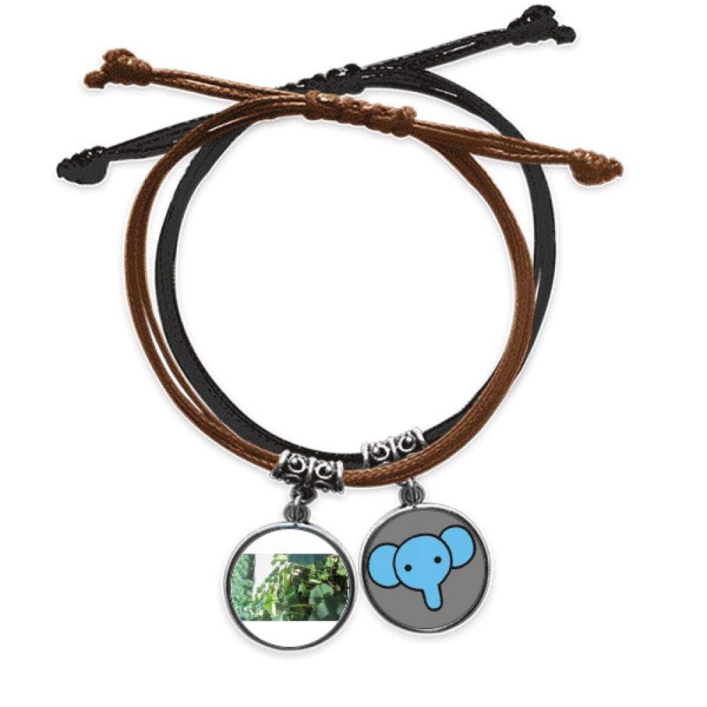 offbb Lotus Lake Pool Art Deco Gift Fashion Bracelet Rope Hand Chain Leather Elephant Wristband
