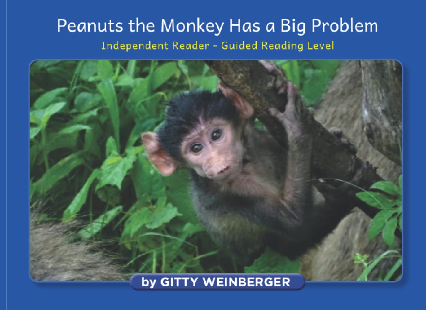 Peanuts the Monkey Has a Big Problem: Independent - Guided Reading Level