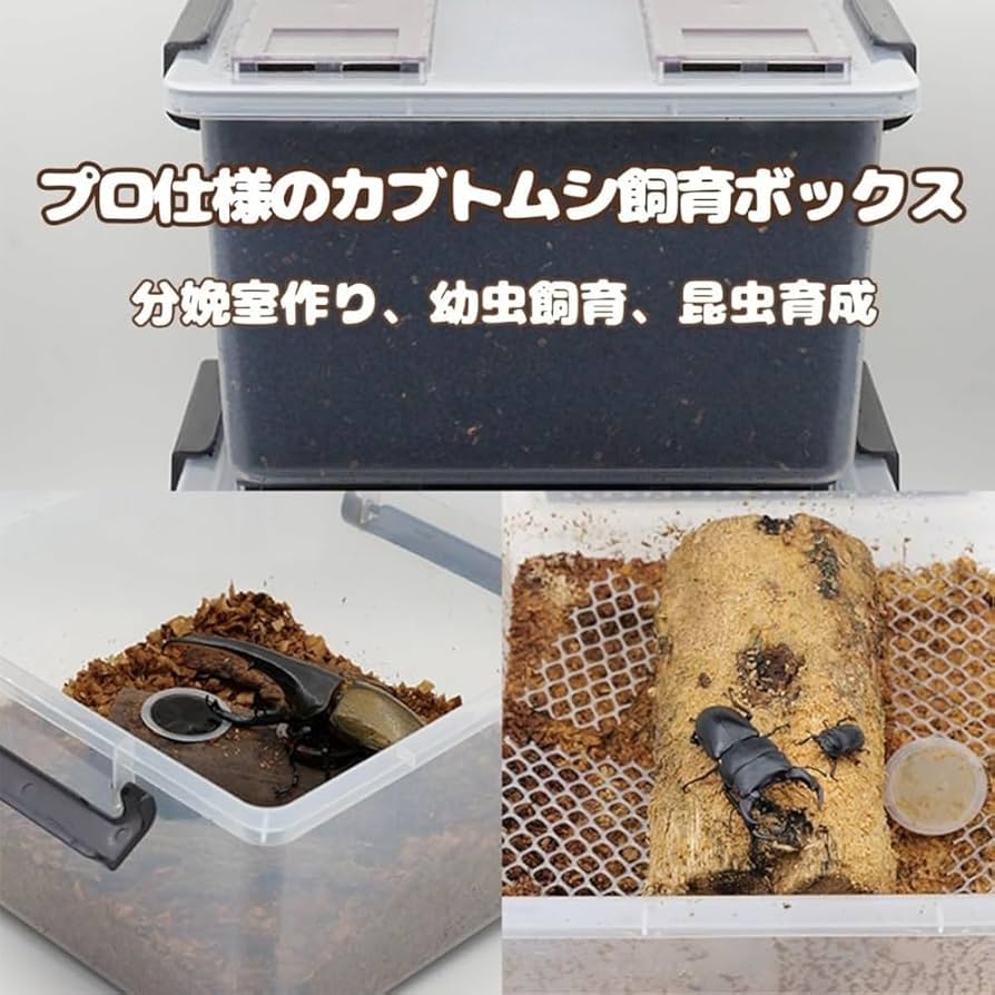 よしちゃん3個セット ⑦広い大きいカブトムシ用飼育ケース【DIY】 よしちゃん3個セット ⑦広い大きいカブトムシ用飼育ケース【DIY