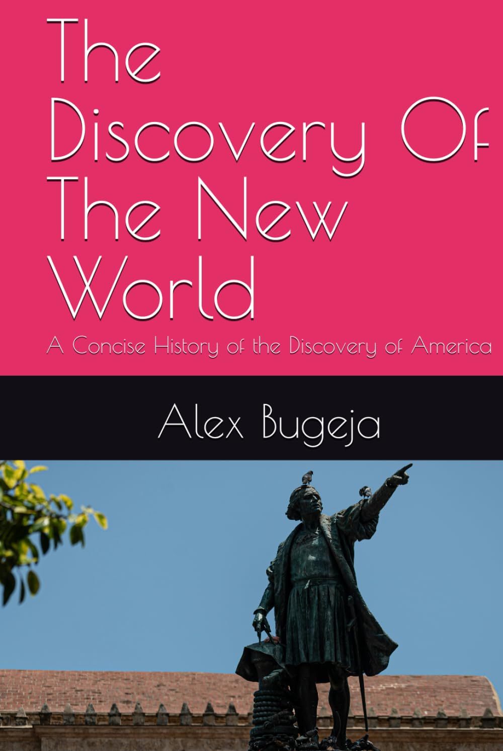 The Discovery Of The New World: A Concise History of the Discovery of America