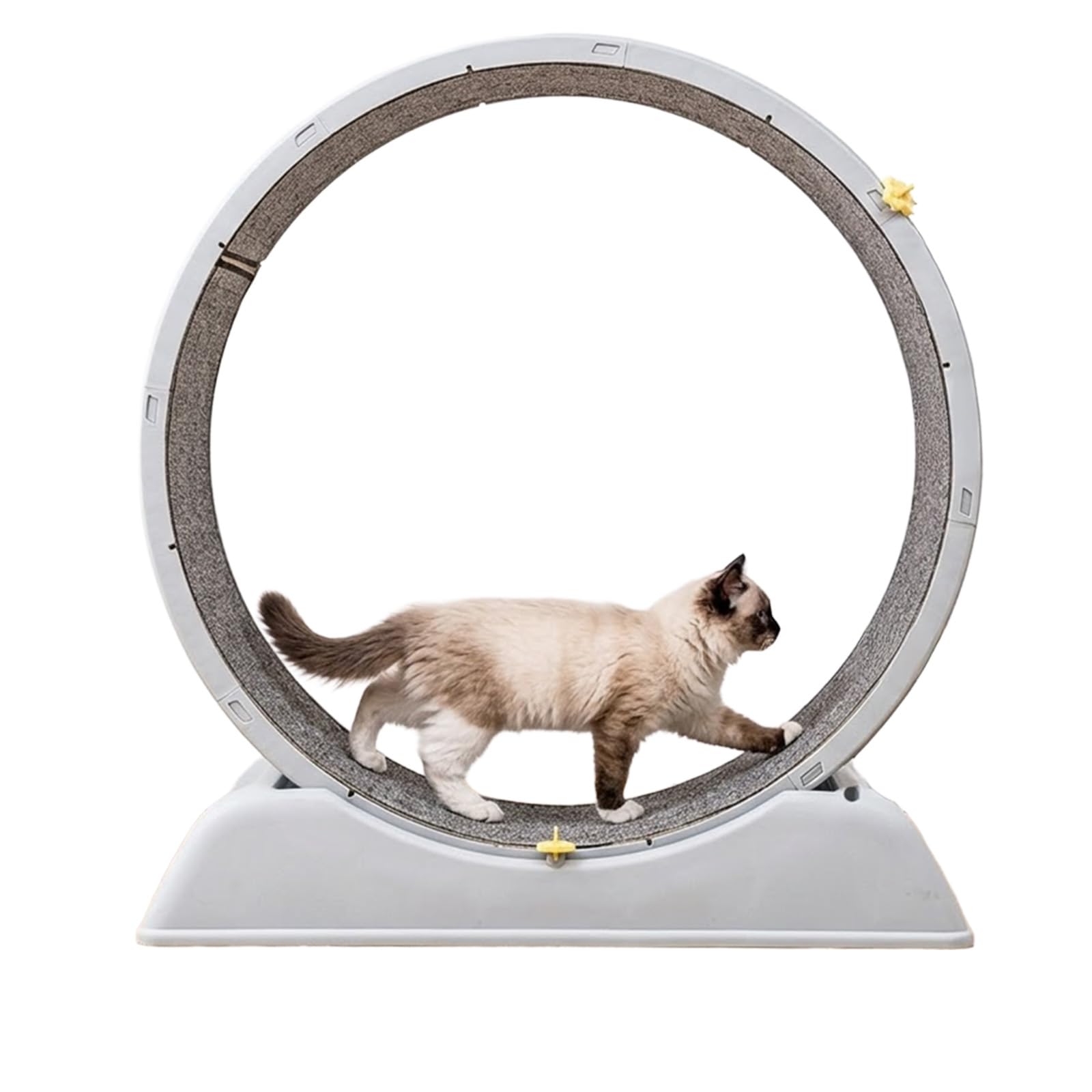 Rueda de entrenamiento para gatos de casa, con sistema de freno, rueda de entrenamiento para gatos de interior, rueda silenciosa con alfombrilla extraíble, azul, 84 x 79 x 34 cm