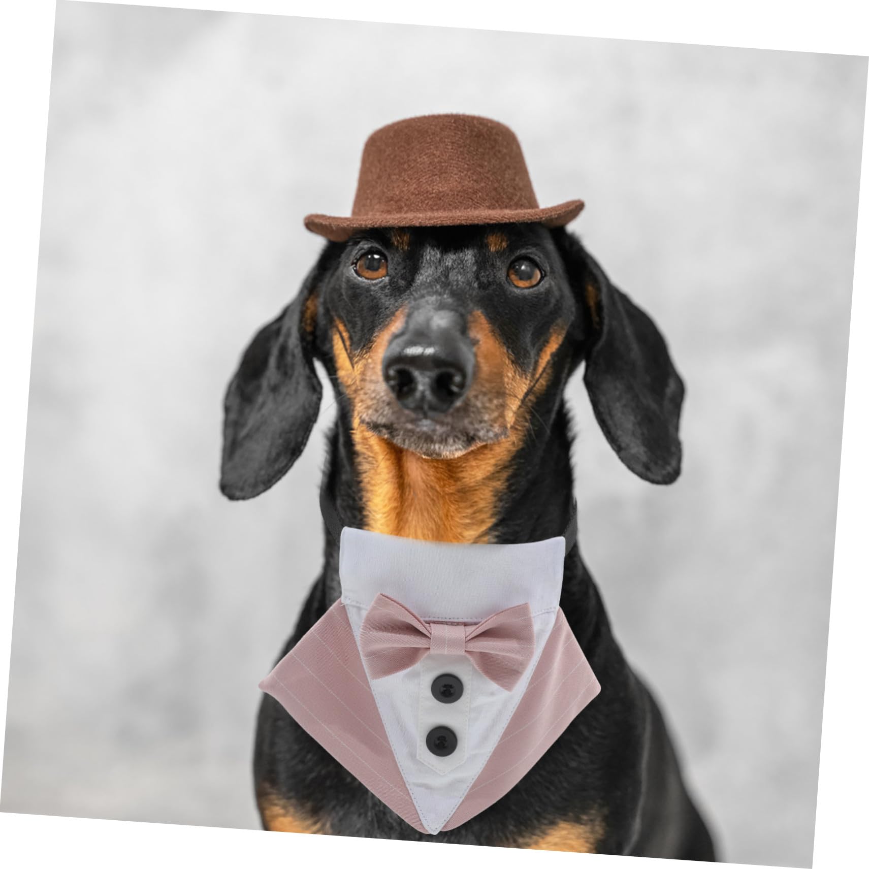 VICASKY 5 Pièces Bandana pour Chien Réglable avec Nœud Foulard Polyester Accessoire Élégant pour Animaux Lavable Main ou Machine pour Photos et
