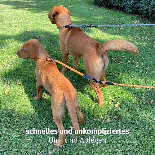 Floxik Retrieverhalsband grün | Robustes Dressurhalsband mit Zugstopp für mittelgroße und große Hunde, Halsumfang 30-60 cm, Ø 1,2 cm