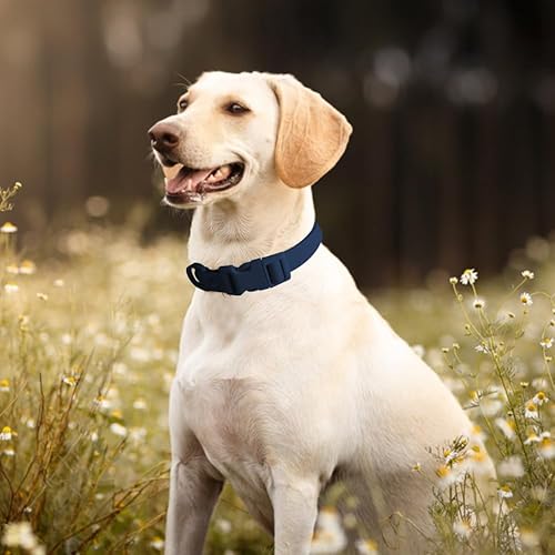 Miniatura 7 de FEimaX Collar de perro impermeable ajustable y resistente al olor, fácil de limpiar para perros grandes, medianos y pequeños, collares de mascotas