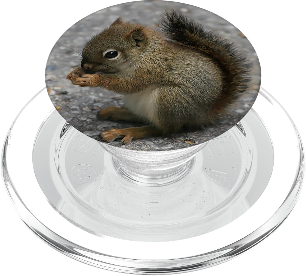 Cute Baby Squirrel Pop Mount Socket PopSockets PopGrip for MagSafe