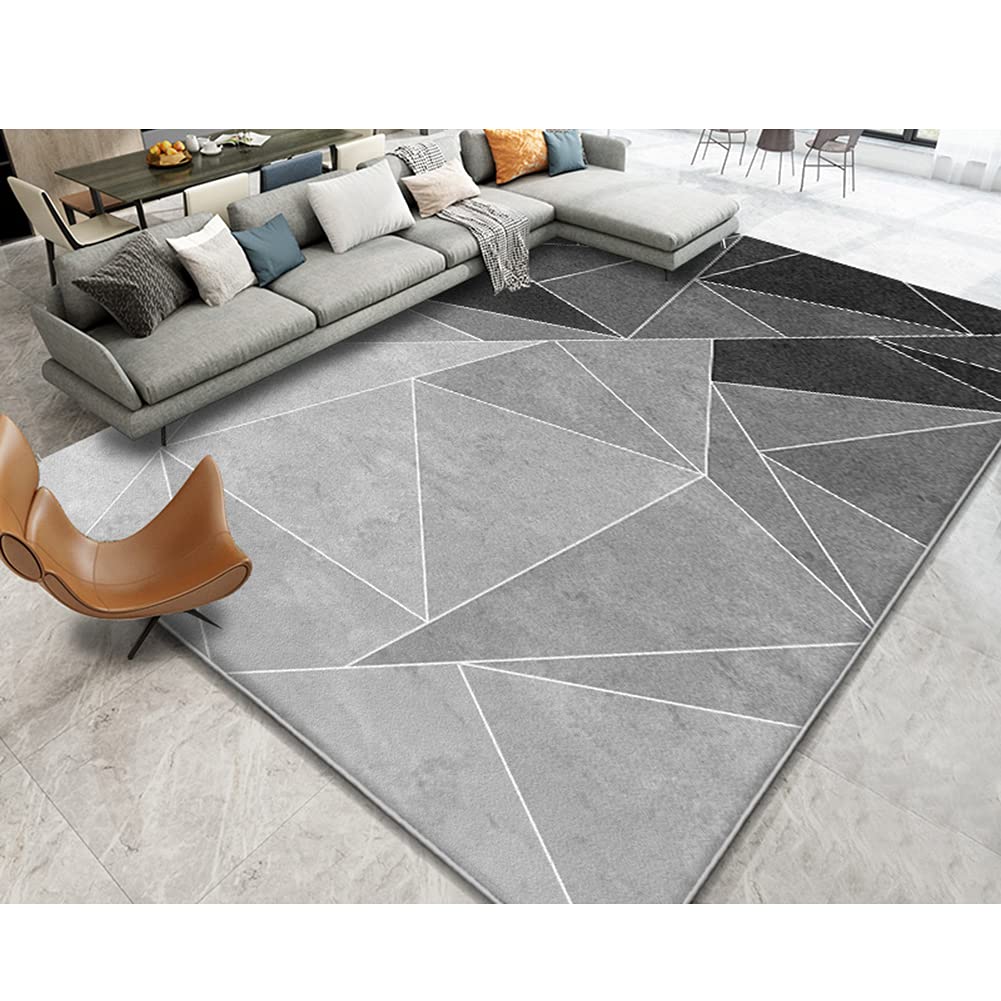 Tapis de shag minimaliste moderne idéal pour le confort d'un salon lavable