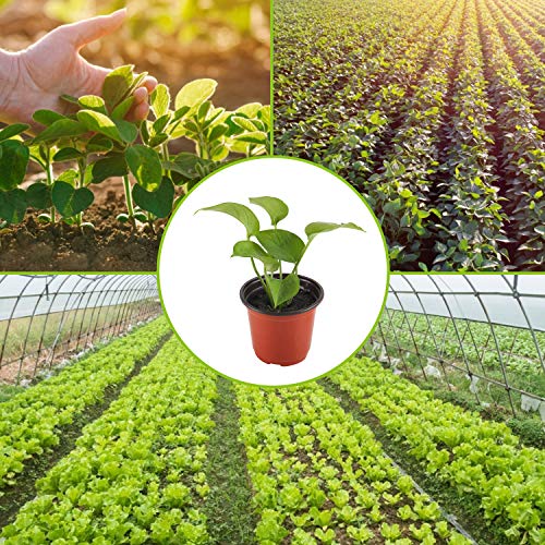 HORTIPOTS Pflanztöpfe Aus Kunststoff – 10er Set, Groß & Dick, In Schwarz/Weiß, Vielseitig Einsetzbar