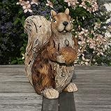 Garden Animals Collection Stewy l'écureuil lampe solaire Jardin...