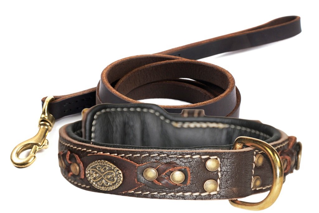 Collier Dean One Legend en cuir marron et laisse assortie en laiton pour grand chien