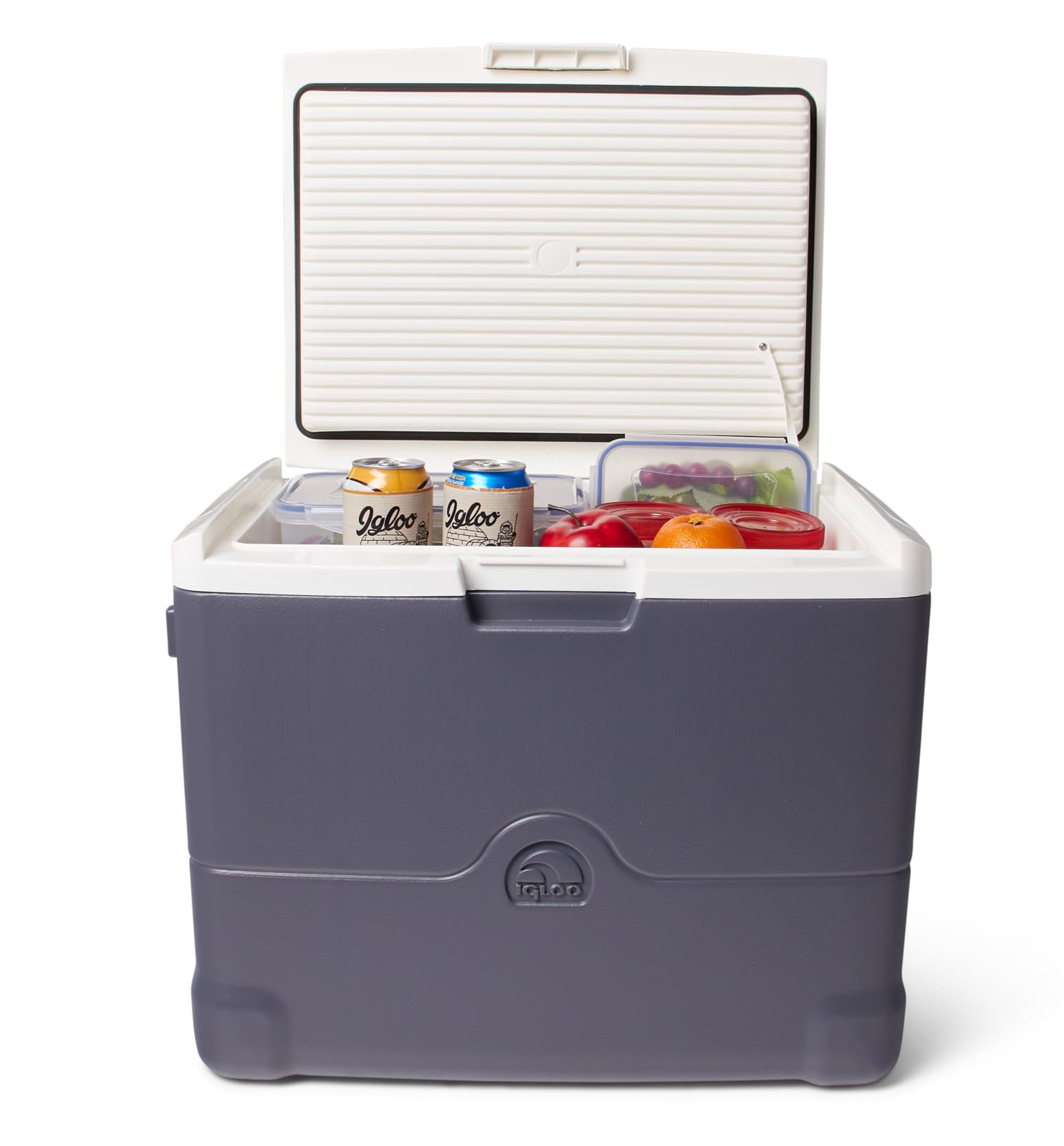 Igloo Termoelettrico Iceless 28-40 Qt Elettrico Plug-in 12V Refrigeratori