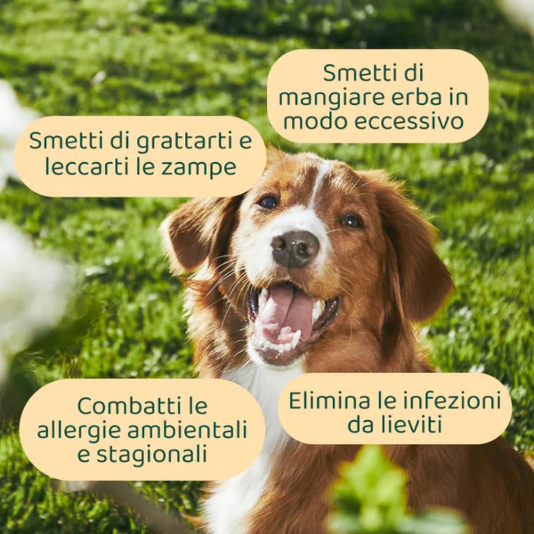 DogSuppy Sollievo Prurito Probiotici Forte per Cani – Ferma Prurito, Grattamento, Leccamento delle Zampe e Mangiare l’Erba, Allevia Allergie e Lieviti, 100% Naturale, Sostiene Intestino e Immunità
