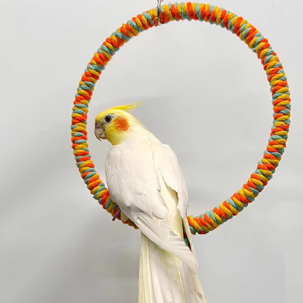 Circular Bird Swing Cotton Rope Stand Toy for Small Birds Parrot Parakeet Cockatiel Conure Budgie Finch Quaker（L）