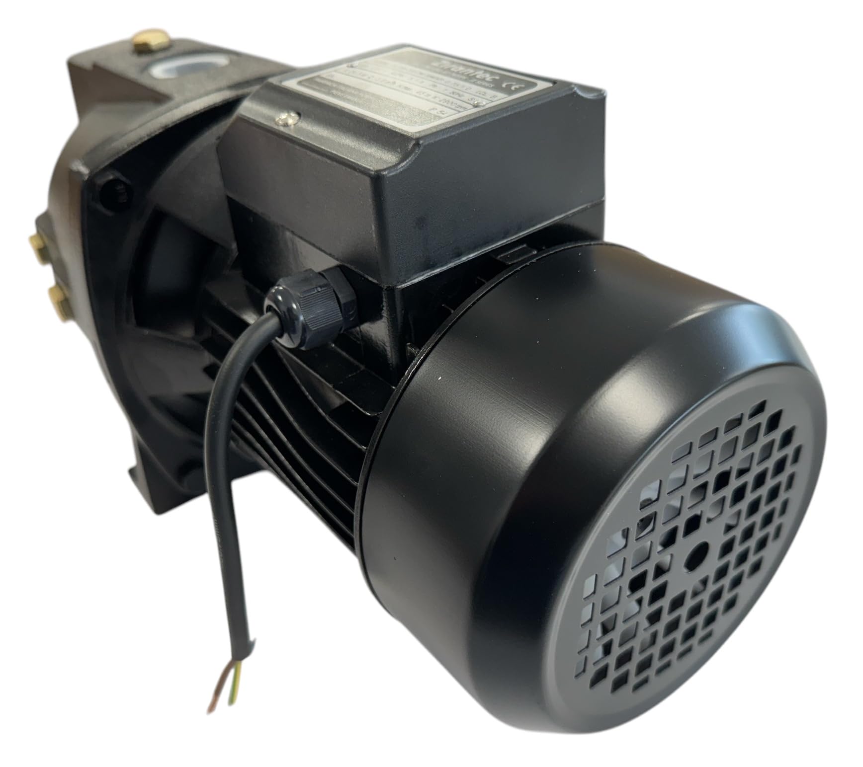 eacommerce - Elettropompa Autoadescante | Corpo in Ghisa per Autoclave e Irrigazione Giardini | Girante Ottone Silenziosa | Ideale per Pozzi e Serbatoi, Potenza 0,55 Kw - 550W
