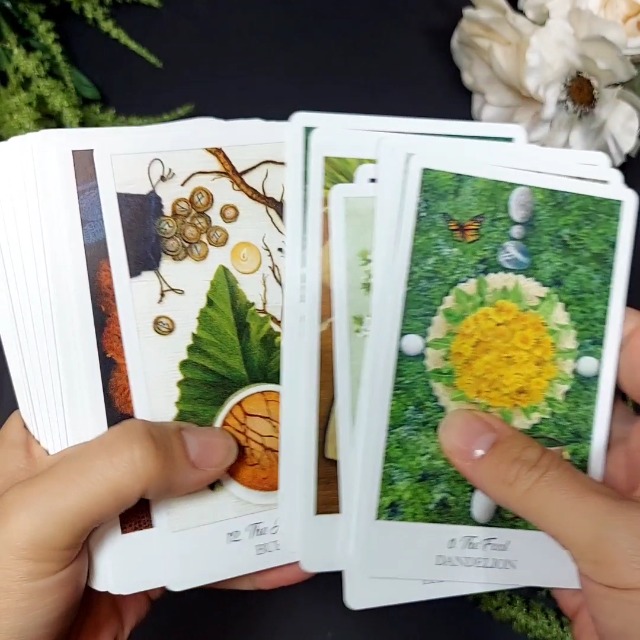 【超希少】Herbal and Spiced Culinary Tarot Amazon.com: Living Magick Publishing Boadicea's Tarot of