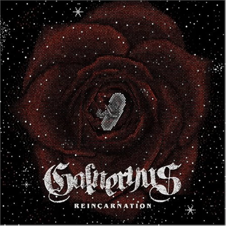 邦楽 LAREINE Reincarnation Amazon.co.jp: REINCARNATION - ガルネリウス: ミュージック