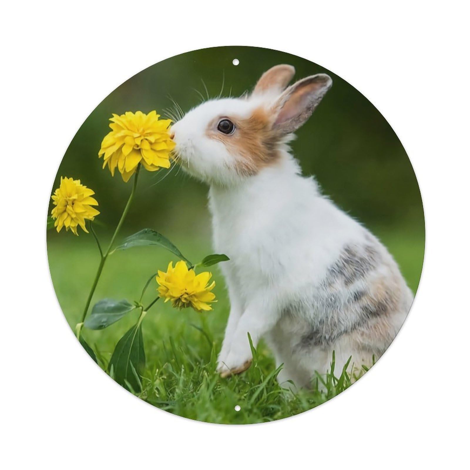 Rabbit Yellow Flowers Cute Animal Meadow Metal Tin Sign