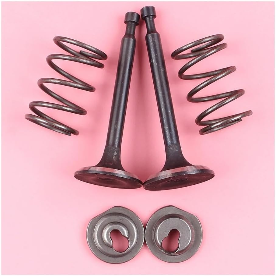 Retainer Spring Set Fit for GX160 GX200 5.5HP 6.5HP Brush Cutter Engine Motor Parts
