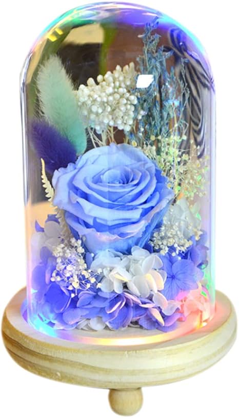 Amazon Hsbais 保存花プリザーブドフラワー ガラスポット 本物のバラで永遠の花 フラワーアレンジドライフラワー 枯れない花 生花 最高の贈り物 ライト Led 木製ベース 記念日 誕生日 Blue プリザーブドフラワー オンライン通販 Amazon Hsbais 保存花プリザーブドフラワー ガラスポット 本物のバラで永遠の花 フラワーアレンジドライフラワー 枯れない花 生花 最高の贈り物 ライト Led 木製ベース 記念日 誕生日 Blue プリザーブドフラワー オンライン通販