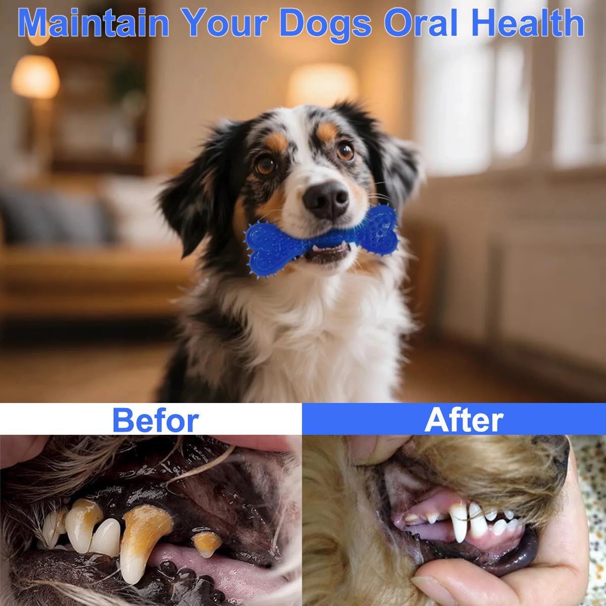 Juguetes para cachorros, paquete de 15, juguetes masticables para dentición de perros, cuerda interactiva y bolas chirriantes para perros pequeños, bonito juego de cepillos de dientes de goma