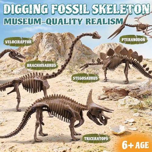 Beetots 7-Pack Big Dinosaur Fossil Skeleton Building Kit | Take Apart & Rebuild Dinosaur Bones Models | STEM Science Archaeology Toy Gift for Kids 6+ | T-Rex, Triceratops, Velociraptor - Image 2