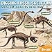 Beetots 7-Pack Big Dinosaur Fossil Skeleton Building Kit | Take Apart & Rebuild Dinosaur Bones Models | STEM Science Archaeology Toy Gift for Kids 6+ | T-Rex, Triceratops, Velociraptor