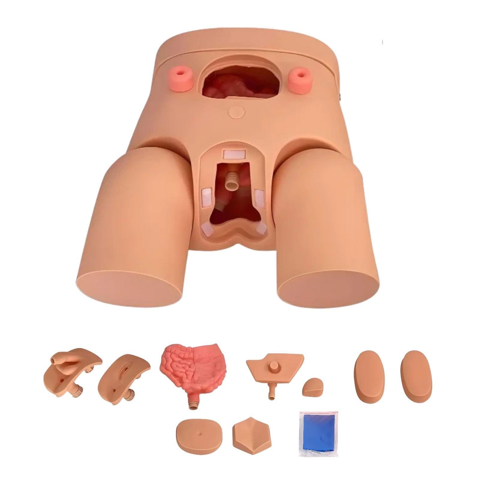 Opaeroo Men's Interchangeable & Fe Catheterization Manikin Model - Realistic Nursing Training Kit With Urinary Catheter, Injection Modules, And Detailed Instructions For Medical Students & Professionals