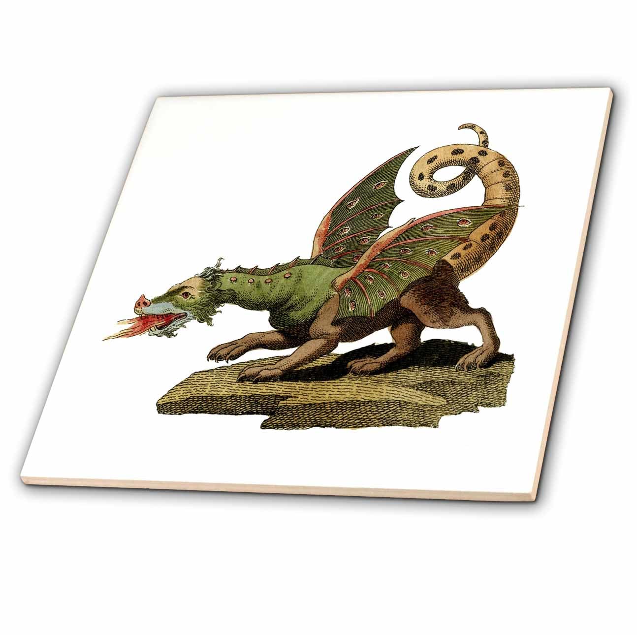 Carrelage en céramique Dragon pour habiller les murs d'une cuisine moderne