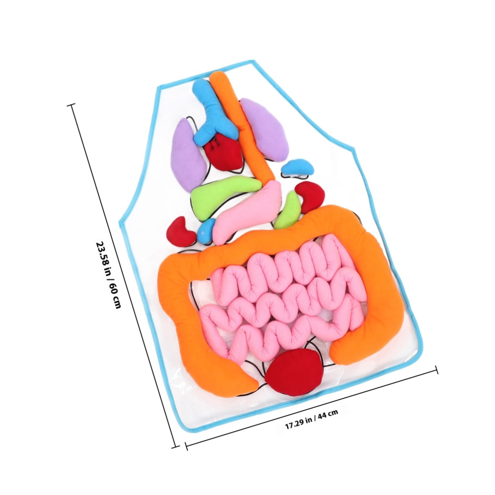 Delantal de Órganos Humanos en 3D, Material Didáctico Preescolar, 1 Set
