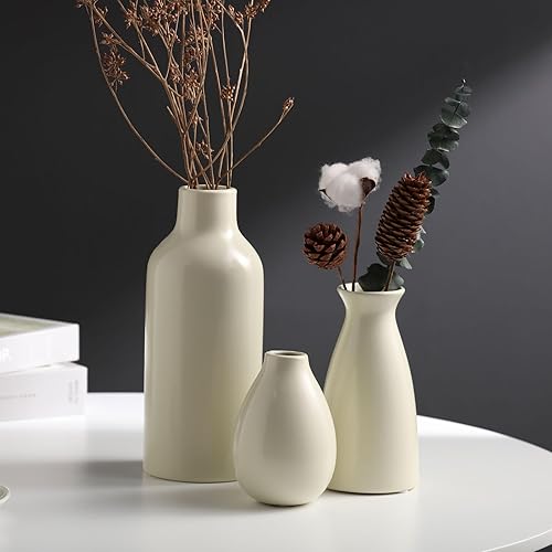 Miniatura 5 de Modern Farmhouse - Juego de jarrón decorativo de cerámica blanca, verde fruta, 3 tamaños