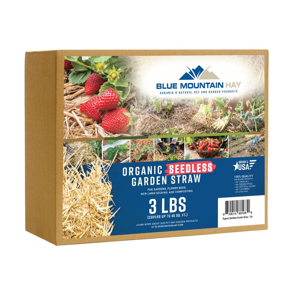 Blue Mountain Hay | Organic Seedless Garden Straw (3 lb) | Natural Mulch for Gardening, Flower Beds, Yard Landscaping, New Lawn Grass Seeding, Composting | Covers up to 30 sq ft
