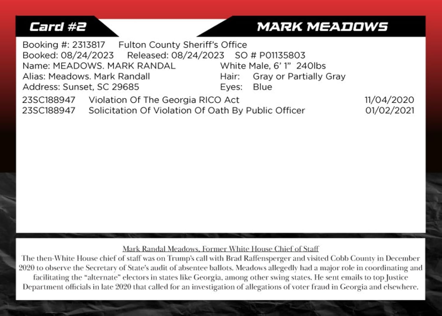 Georgia RICO Indictment Mugshot Trading Card Collection