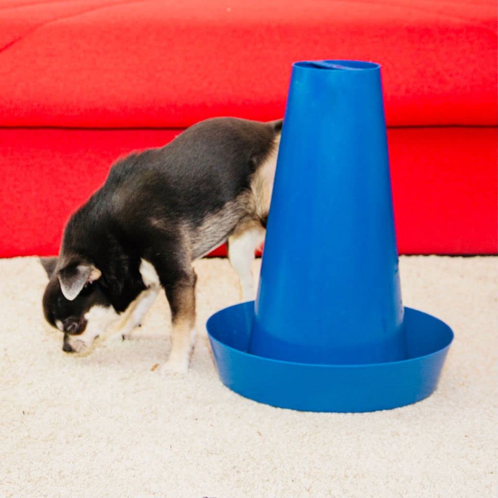 PIPPI Toilettes pour Chien Tapis pour Chien Toilettes faciles à Nettoyer pour intérieur WC pour Chien pour Une hygiène optimale sans Odeur Écologique Dog Toilet WC 28x36cm Lilas