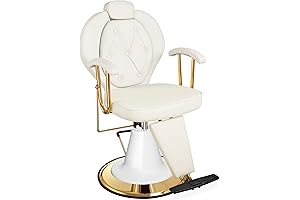 Elegant Baasha Salon Chair for Perfect Styling