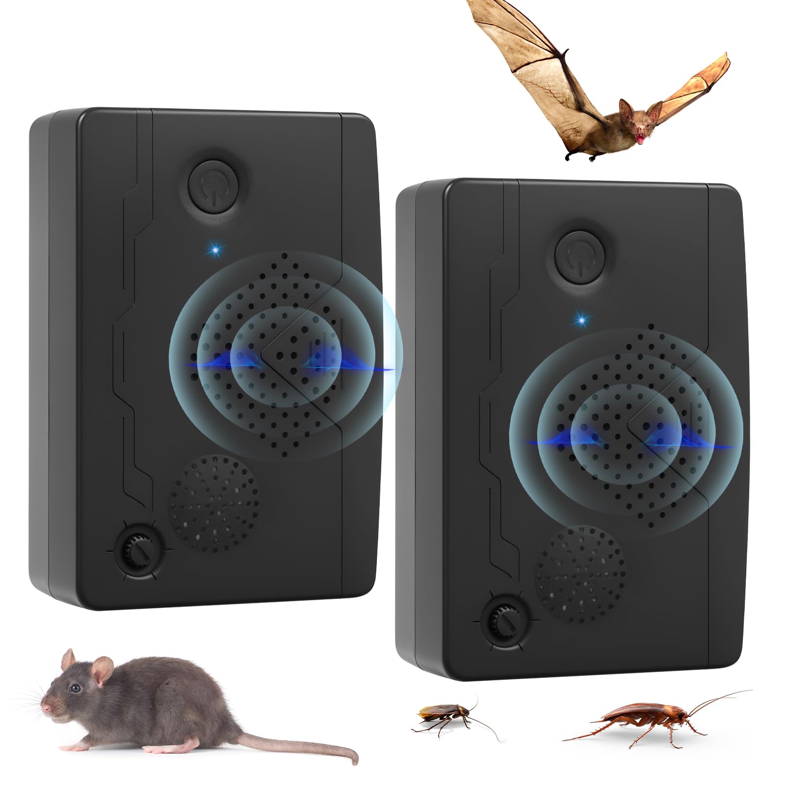 Répulsif chauve-souris pour porche et grenier : protégez votre toit